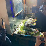 インド・パキスタン料理 アルバラカ - ゆっくりとアルミを脱がす手つきにはエロスが漂ふ