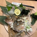 海鮮カフェ&バー グラベル - 生簀からとった鯛。半身が焼きと、刺身に変化！