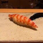 鮨 さいとう - 車海老