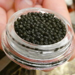 三宅輝 - ⑤輝キャビア