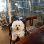 ヴァカンツァ - エントランス横のテーブル