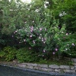 和多屋別荘 - お風呂