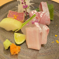 すざき町食・心旬ぎく - ヨコオマグロ、ヒラマサ、ひらめ