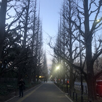 キハチ 青山本店 - 