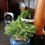 サーキュレーターが