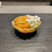 CIRPAS - 