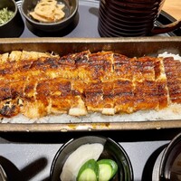 うなぎ四代目菊川 ヒルトンプラザウエスト大阪店 - 