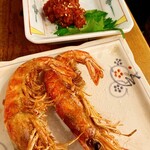 日本鮮魚甲殻類同好会 - 