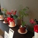 焼肉 しゃ楽 - 