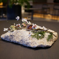 Auberge eaufeu - 
