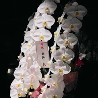 鳥つき - 