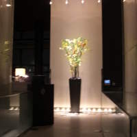 Bar＆Lounge MAJESTIC - 