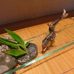 日本料理 みや  - 天竜川活鮎塩焼き