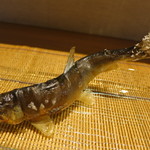 日本料理 みや  - 天竜川活鮎塩焼き　アップ