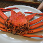 寿司栄 - 黄金蟹