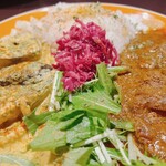 カリカリスパイス - ■揚げ茄子とサバのココナッツカレー＆チキンカレー
            カレー2種あいがけ　¥1,300税込