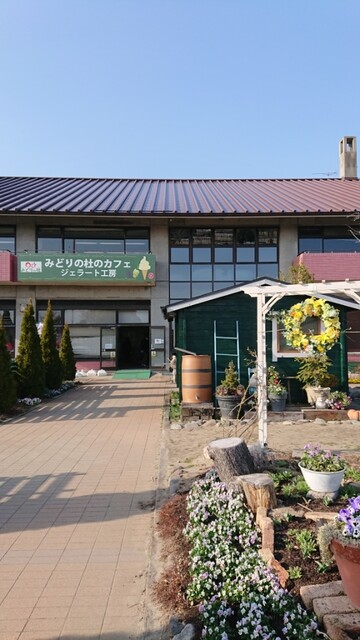 みどりの杜のカフェ - 荒井（カフェ）の写真