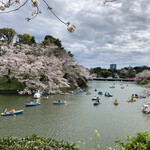 Yachihosushi - 千鳥ヶ淵