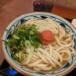 丸亀製麺 - かけ大¥530＋クーポン明太