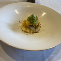 Wattle Tokyo - 