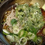 ふじ - 冷やし、春菊天