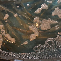 寅八商店 心斎橋店 - 