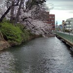すかや 本店 - スズラン側から柳川町をのぞむ