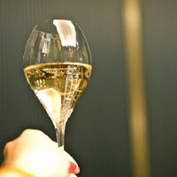 PONGA PREMIUM - 