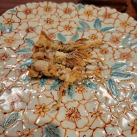 旬彩天 つちや - 蛍烏賊