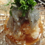 いしもん - 生しらす