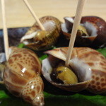 いしもん - ばい貝うま煮