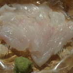 いしもん - ウスバハギ