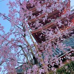 トウキョウクルーズカフェ - 浅草寺