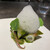 イナカーザ - 料理写真:魚料理　海の幸ののジェノベーゼ、貝の泡