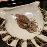 御料理ふじ居 - 活ホタルイカの炭火焼き