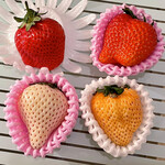 九州屋 - 料理写真: