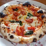 野生酵母ピッツェリア 桜丸 - マルゲリータ