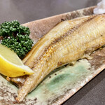 まぐろ丼　加一 - 