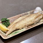 まぐろ丼　加一 - 