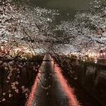 聖林館 - 目黒川の桜
