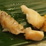 千春鮨 - ツブ貝＆ひも