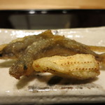 虎白 - 目が可愛い、稚鮎　笹燻し