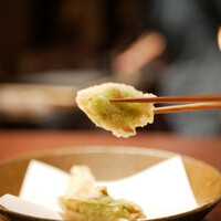 たでの葉 - エアリーなタッチで口へと馴染むと、香りがふわっと綺麗に広がる。 粉塩が奥まで浸透し、蕗のとうの存在を見失うほどに儚く、おいしさに満ちた春を告げる一口。