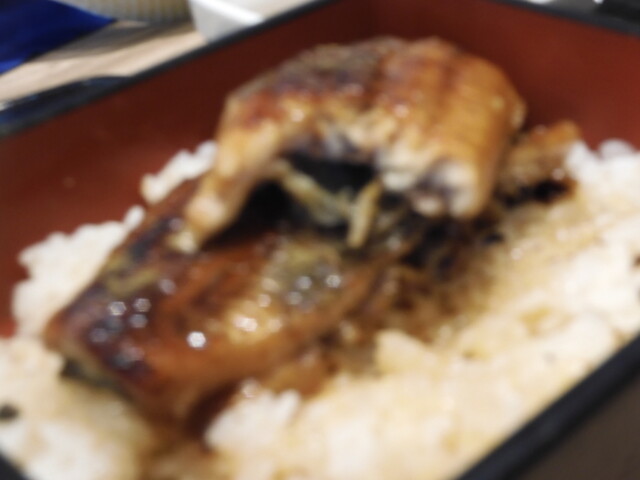 吉野家  ４号線古川栄町店 - 塚目（牛丼）の写真