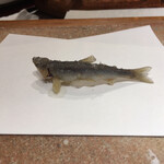 天ぷら 大坂屋 草哲 - 