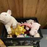 HyLife Pork TABLE - 