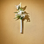 而今に生きる - 