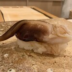 鮨 もりなり - トリガイ