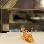 Tempura Tenshou - 