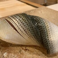 鮨 もりなり - コハダ（╹◡╹）♡